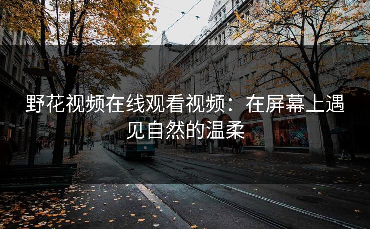 野花视频在线观看视频：在屏幕上遇见自然的温柔