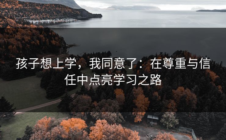 孩子想上学,我同意了:在尊重与信任中点亮学习之路 孩子想上学,我同意了:在尊重与信任中点亮学习之路