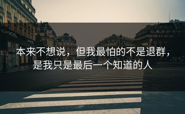 本来不想说，但我最怕的不是退群，是我只是最后一个知道的人