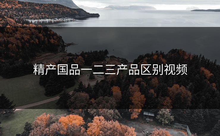 精产国品一二三产品区别视频